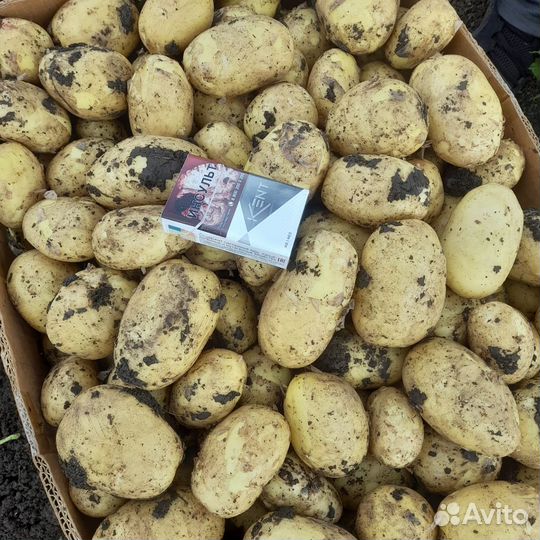 Картофель Коломбо