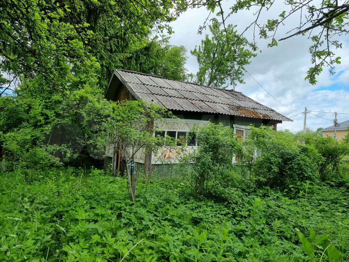 Участок 6 сот. (СНТ, ДНП)