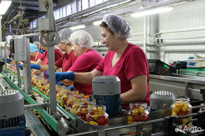 Подсобный рабочий на консервный завод/2х раз питан