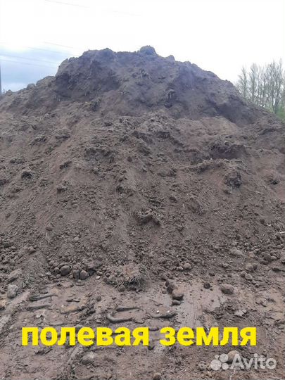 Земля плодородная