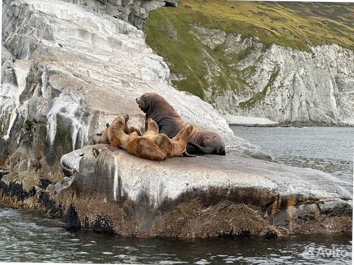 Камчатка летом тур экспедиция 7-9 дней