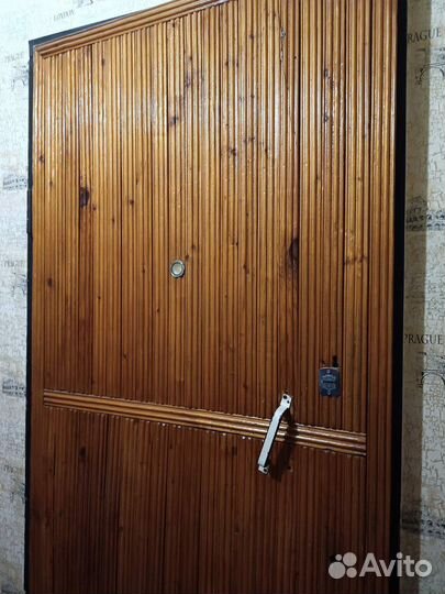 Дверь входная железная