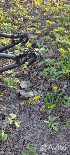 Рама Стелс Фокус 26