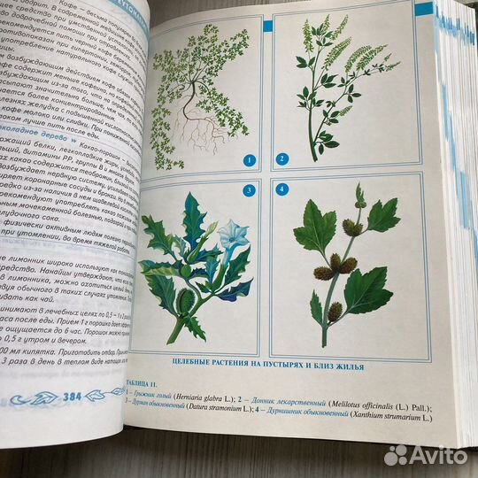 Большая энциклопедия народной медицины