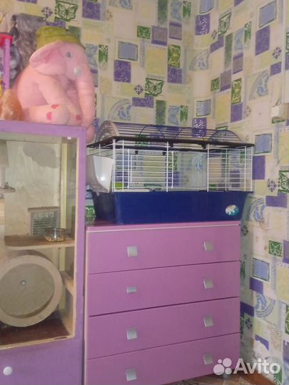 Клетка для грызунов большая