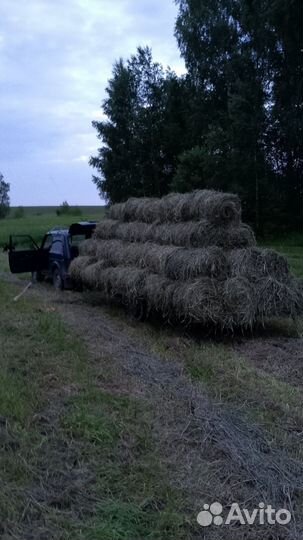 Продам сено в рулонах
