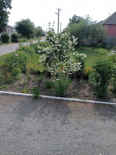 Участок 18 сот. (ИЖС)