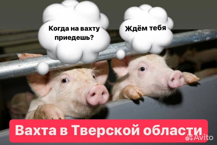 Бесплатный автобус. Работа вахтой в Твери