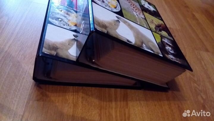 Энциклопедия для детей