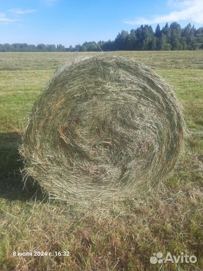 Сено Луговое в рулонах