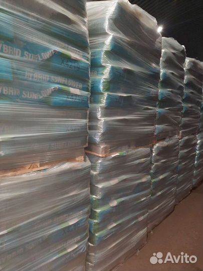 Семена подсолнечника nuseed