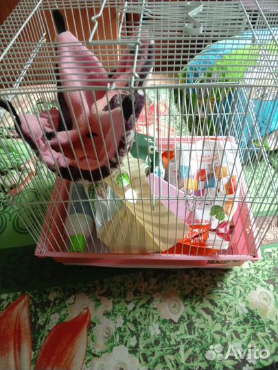 Клетка для грызунов большая