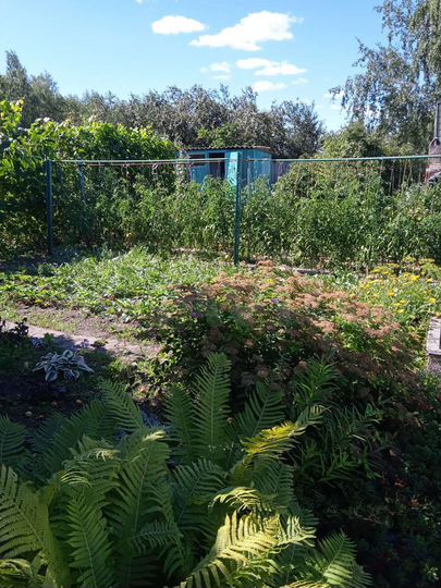 Дача 30 м² на участке 7,2 сот.