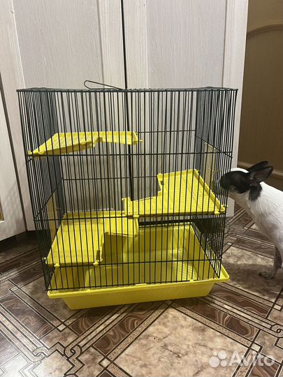 Клетка для грызунов