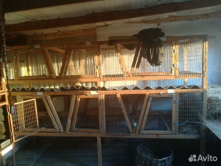 Кроличья клетка