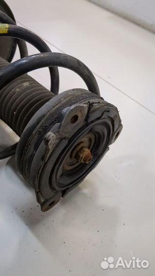 Амортизатор подвески левый передний Nissan Murano, 2009