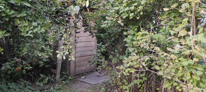 Дача 38 м² на участке 12 сот.