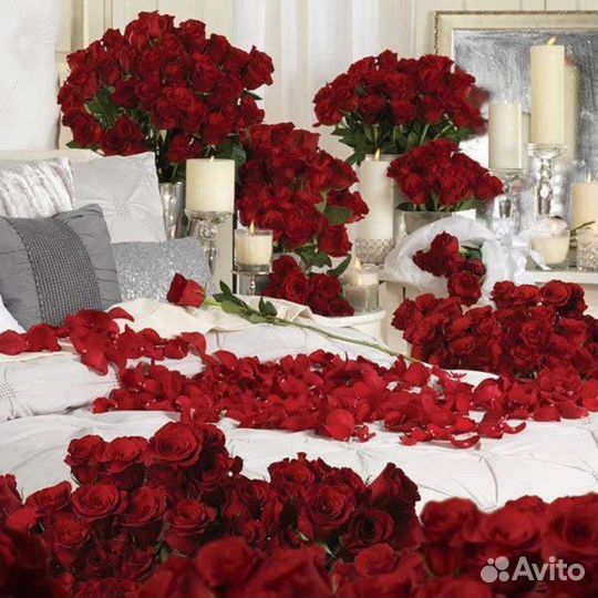 Лепестки роз 24/7