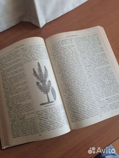 Библейская энциклопедия