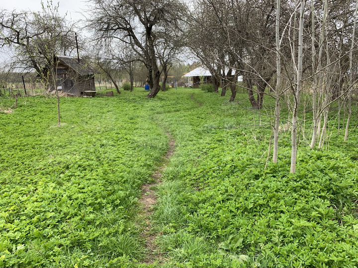 Участок 35 сот. (ИЖС)