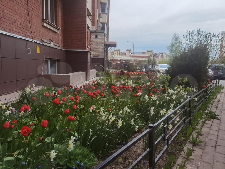 2-к. квартира, 50 м², 6/6 эт.