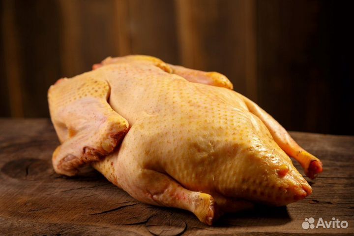 Продам мясо уток