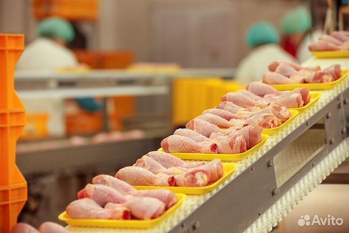 Требуется рабочий на птицефабрику без опыта