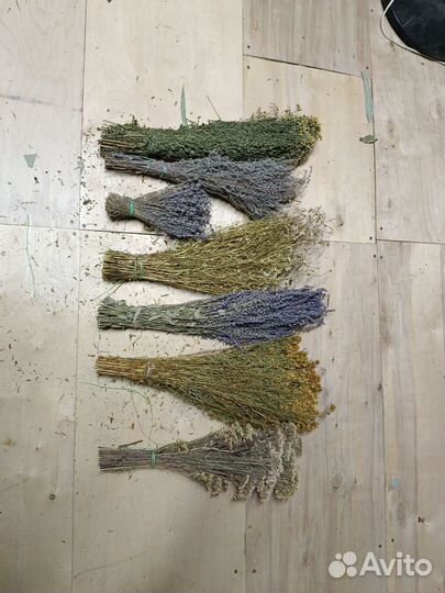 Травы пижма полынь лаванда ромашка шалфей зверобой