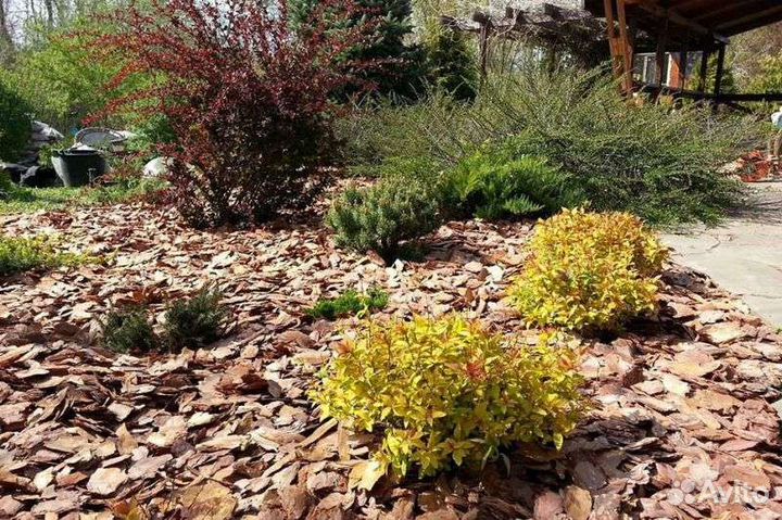 Мульча сосновая