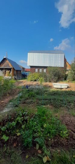 Дача 50 м² на участке 5,2 сот.