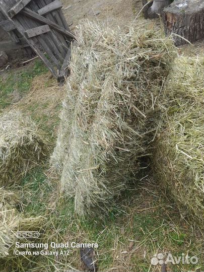 Сено разнотравие.солома