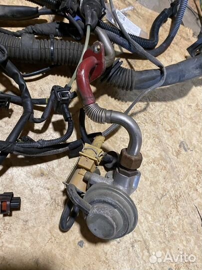 Датчики Mercedes