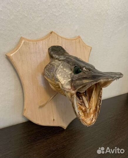 Медальон для трофеев