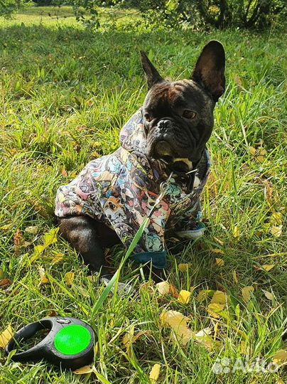 Вязка. (Развязан)