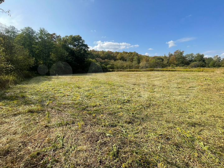 Участок 51 сот. (СНТ, ДНП)