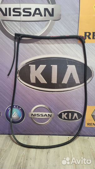 Уплотнитель задней двери Nissan juke F15 Прав