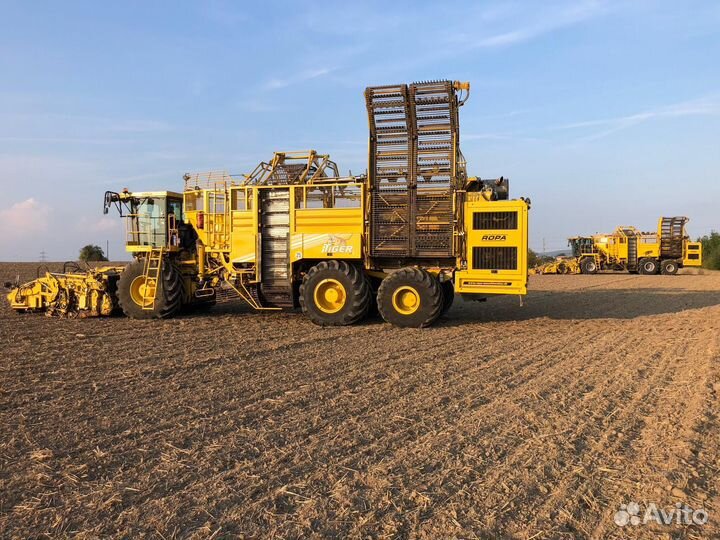 Комбайн Ropa Maschinenbau Euro-Tiger V8-4, 2013