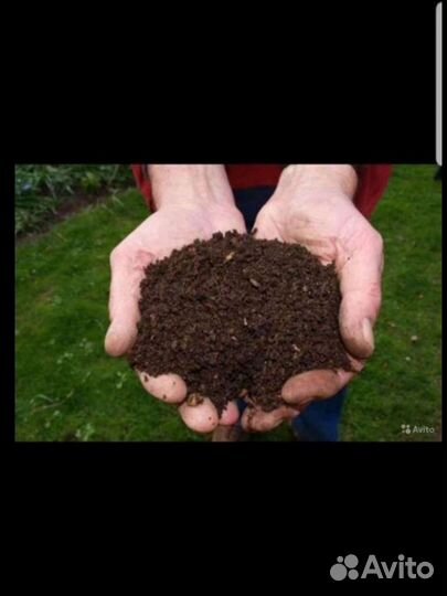 Перегной конский и коровь