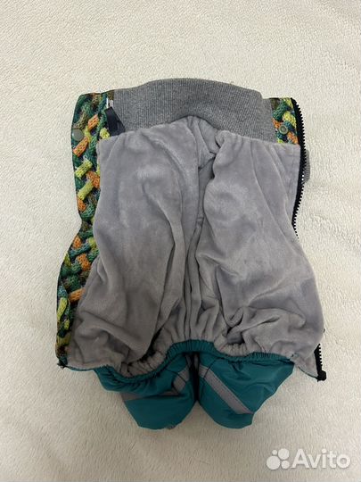 Одежда для собак