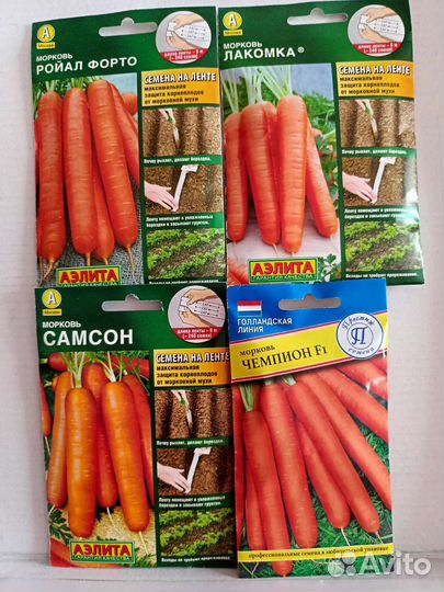 Семена моркови