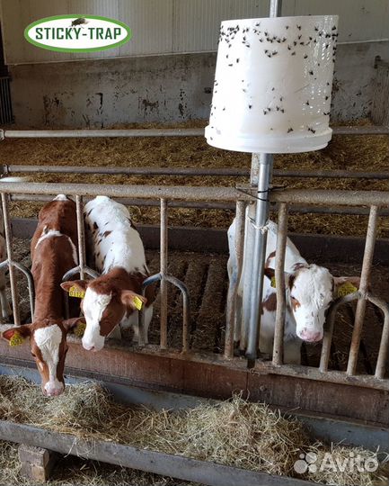 Ловушка для мух, оводов, слепней, других насекомых