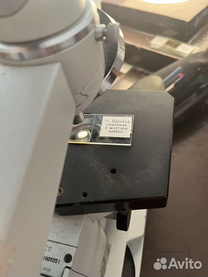 Подготовка к ОГЭ