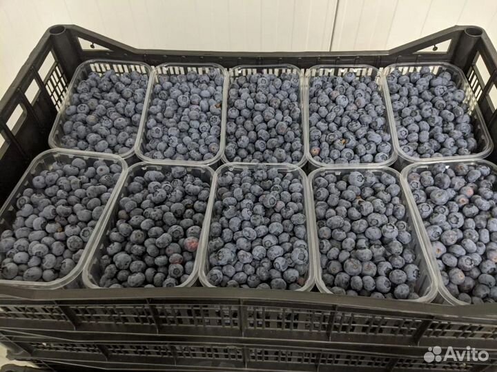 Пинетки (корексы, лукошки) 500г пищевые под ягоду