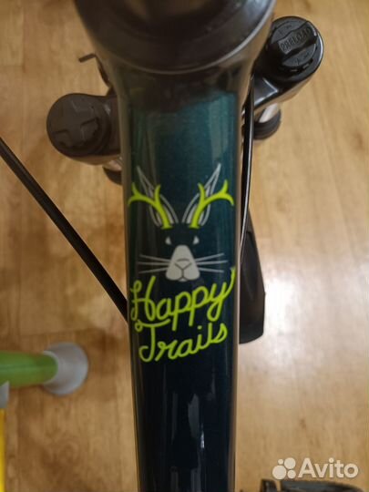 Горный велосипед Cannondale 20 kids trail