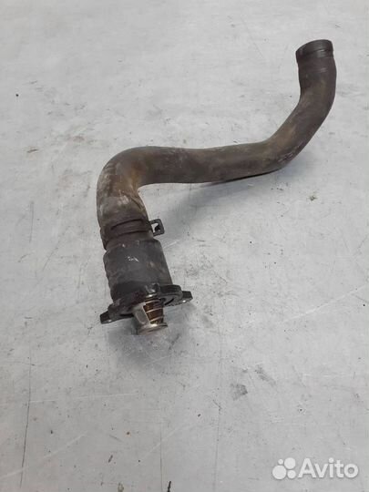 Термостат Renault Kangoo рест. 2005 8200244237