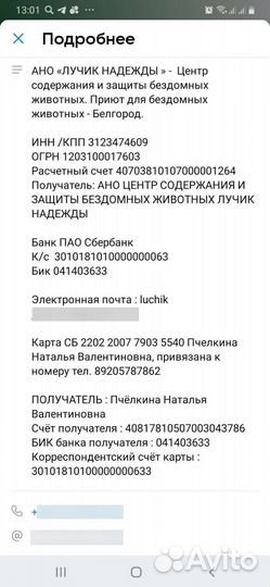 Красотка в добрые руки отдам бесплатно