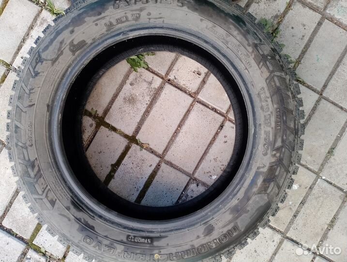 Amtel NordMaster Evo 215/60 R17