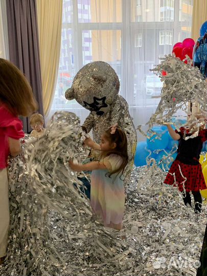 Серебряная дискотека с аниматором