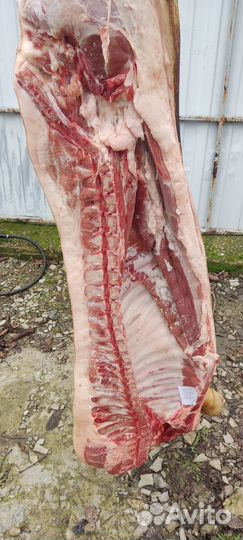 Продажа свинины полутушами или четвертинкой