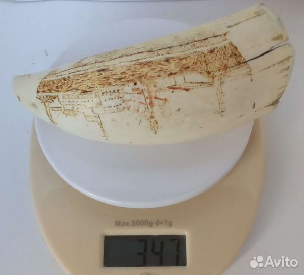 3y6 рисунок по кости, корабль